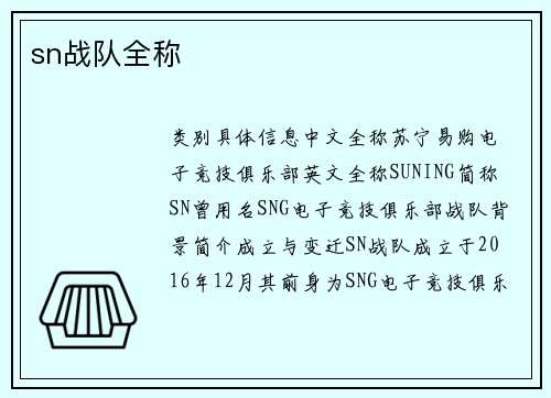 sn战队全称