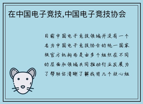 在中国电子竞技,中国电子竞技协会